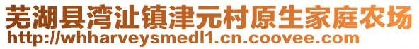 芜湖县湾沚镇津元村原生家庭农场