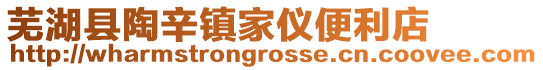 蕪湖縣陶辛鎮家儀便利店