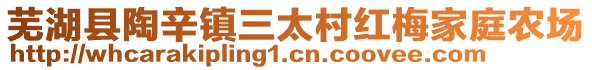 蕪湖縣陶辛鎮(zhèn)三太村紅梅家庭農(nóng)場(chǎng)