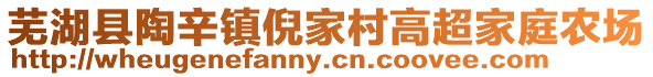 蕪湖縣陶辛鎮(zhèn)倪家村高超家庭農(nóng)場(chǎng)