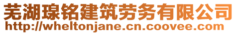 蕪湖瑔銘建筑勞務有限公司
