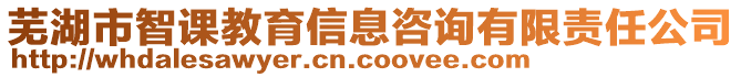 蕪湖市智課教育信息咨詢有限責任公司