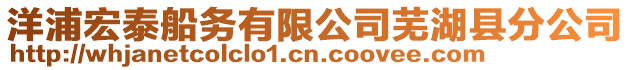 洋浦宏泰船務有限公司蕪湖縣分公司