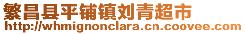 繁昌縣平鋪鎮(zhèn)劉青超市