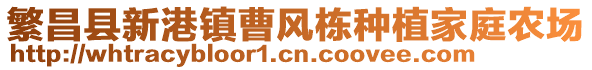 繁昌縣新港鎮(zhèn)曹風(fēng)棟種植家庭農(nóng)場