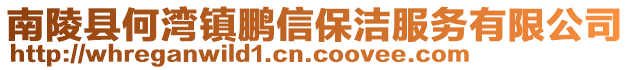 南陵縣何灣鎮(zhèn)鵬信保潔服務(wù)有限公司