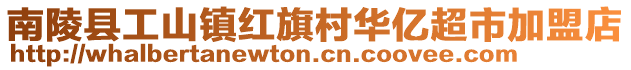 南陵县工山镇红旗村华亿超市加盟店