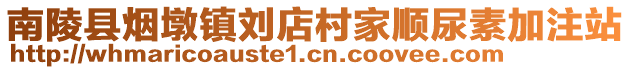 南陵縣煙墩鎮(zhèn)劉店村家順尿素加注站
