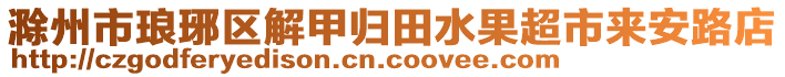 滁州市瑯琊區(qū)解甲歸田水果超市來安路店