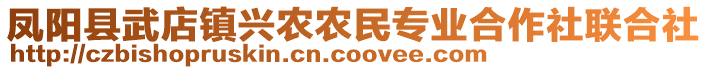 鳳陽(yáng)縣武店鎮(zhèn)興農(nóng)農(nóng)民專業(yè)合作社聯(lián)合社