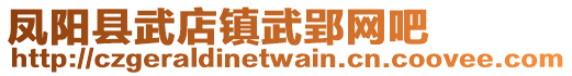 鳳陽縣武店鎮(zhèn)武郢網(wǎng)吧