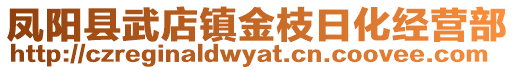 鳳陽縣武店鎮(zhèn)金枝日化經(jīng)營部