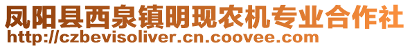 鳳陽(yáng)縣西泉鎮(zhèn)明現(xiàn)農(nóng)機(jī)專業(yè)合作社