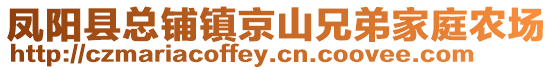 鳳陽縣總鋪鎮京山兄弟家庭農場