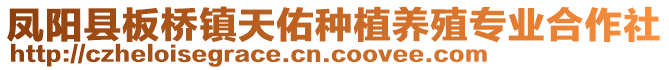 鳳陽(yáng)縣板橋鎮(zhèn)天佑種植養(yǎng)殖專業(yè)合作社