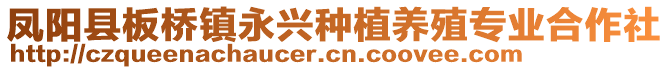 鳳陽縣板橋鎮(zhèn)永興種植養(yǎng)殖專業(yè)合作社