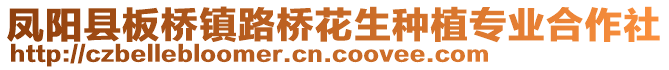 鳳陽縣板橋鎮(zhèn)路橋花生種植專業(yè)合作社