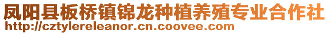 鳳陽縣板橋鎮(zhèn)錦龍種植養(yǎng)殖專業(yè)合作社