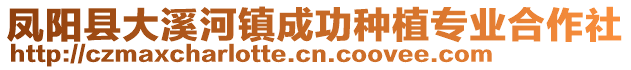 鳳陽(yáng)縣大溪河鎮(zhèn)成功種植專業(yè)合作社