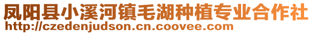 鳳陽縣小溪河鎮(zhèn)毛湖種植專業(yè)合作社