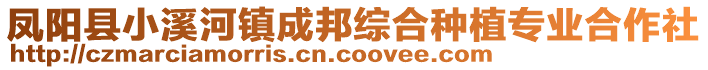 鳳陽縣小溪河鎮(zhèn)成邦綜合種植專業(yè)合作社