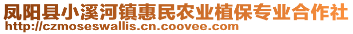 鳳陽縣小溪河鎮(zhèn)惠民農(nóng)業(yè)植保專業(yè)合作社