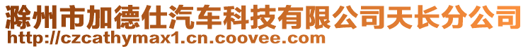 滁州市加德仕汽車科技有限公司天長分公司