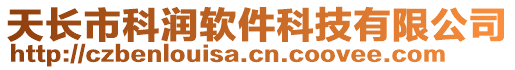 天長市科潤軟件科技有限公司