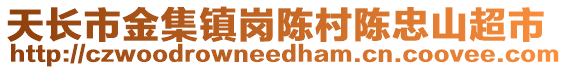 天長市金集鎮(zhèn)崗陳村陳忠山超市