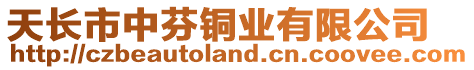 天長市中芬銅業(yè)有限公司