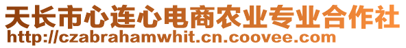 天長市心連心電商農(nóng)業(yè)專業(yè)合作社