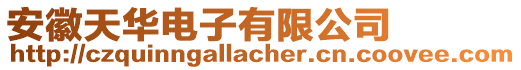 安徽天華電子有限公司