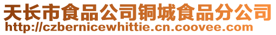 天長市食品公司銅城食品分公司
