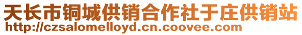 天長市銅城供銷合作社于莊供銷站