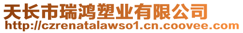 天長市瑞鴻塑業有限公司