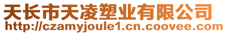 天長市天凌塑業有限公司