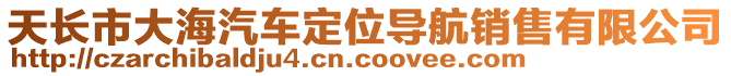 天長(zhǎng)市大海汽車定位導(dǎo)航銷售有限公司