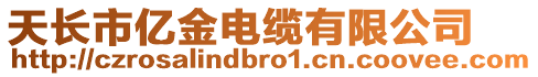 天長市億金電纜有限公司