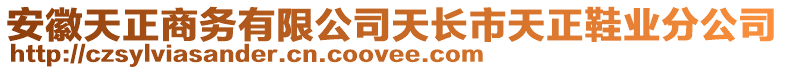 安徽天正商務(wù)有限公司天長市天正鞋業(yè)分公司