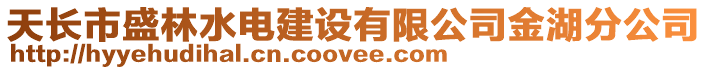 天長市盛林水電建設(shè)有限公司金湖分公司