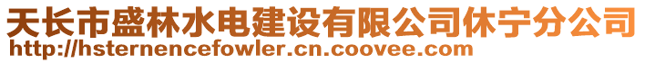 天長市盛林水電建設有限公司休寧分公司