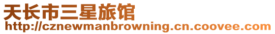 天長市三星旅館