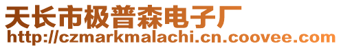 天長市極普森電子廠