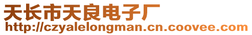 天長市天良電子廠