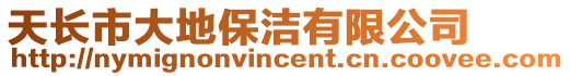 天長市大地保潔有限公司