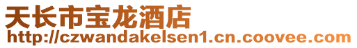 天長市寶龍酒店