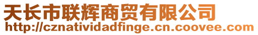 天長市聯(lián)輝商貿(mào)有限公司