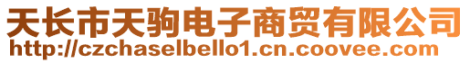 天長(zhǎng)市天駒電子商貿(mào)有限公司