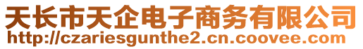 天長市天企電子商務(wù)有限公司