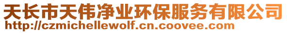 天長市天偉凈業環保服務有限公司